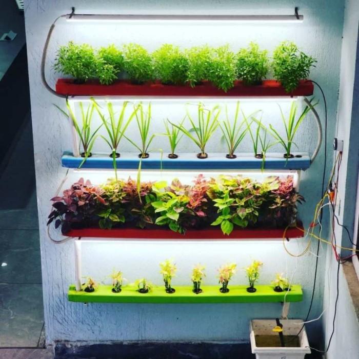 Picture of Optimize Space with Our Wall Mounted Indoor Hydroponics ...